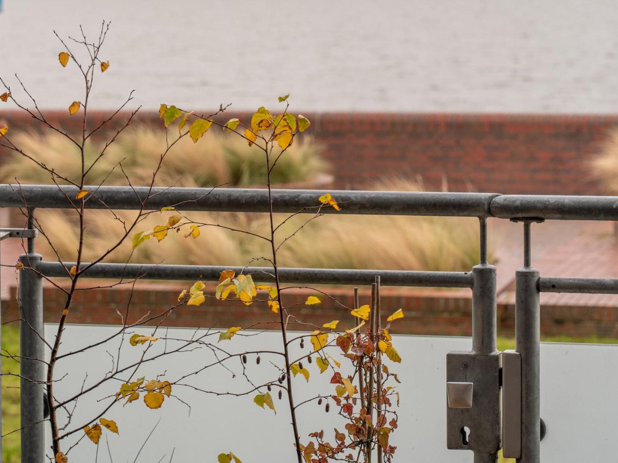 145 Meerblick Ferienwohnung Wilhelmshaven Exteriér fotografie